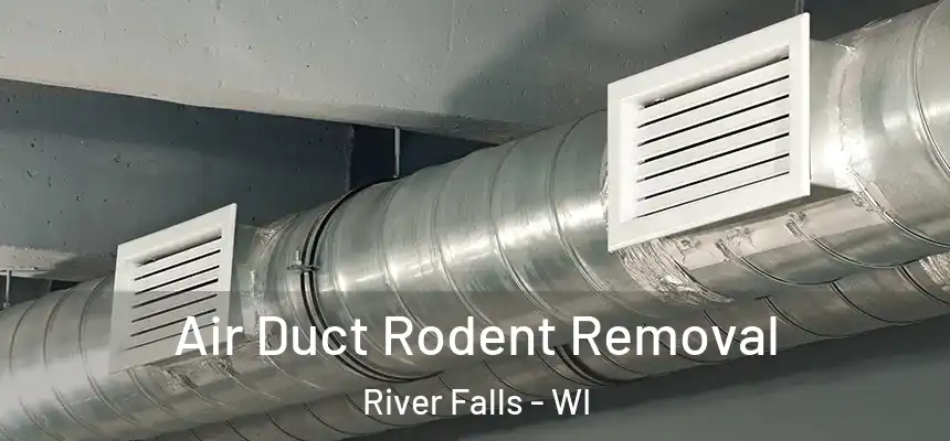  Air Duct Rodent Removal River Falls - WI