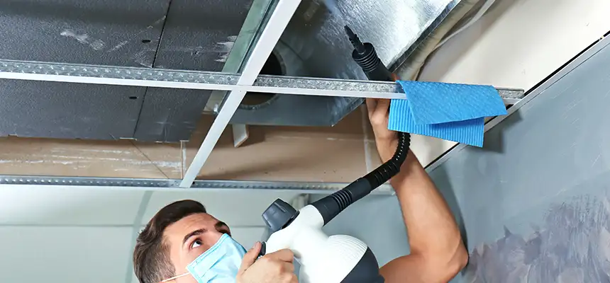 Our Air Duct Rodent Removal Services in River Falls, WI