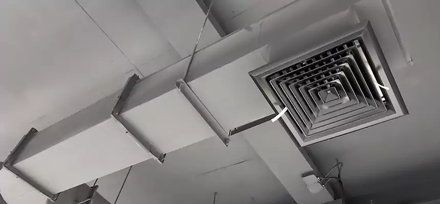 Our Pest Removal From Ducts Services in River Falls, WI