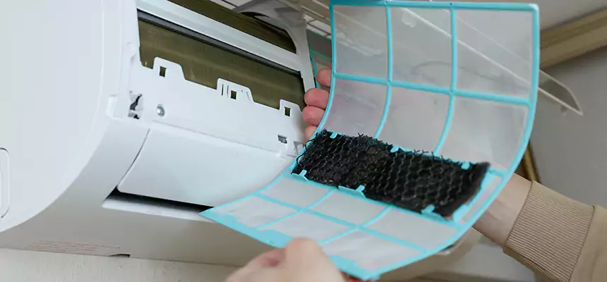 Gentle Ductwork Odor-Control Pet Dander Duct Cleaning in River Falls, WI