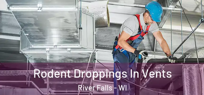  Rodent Droppings In Vents River Falls - WI