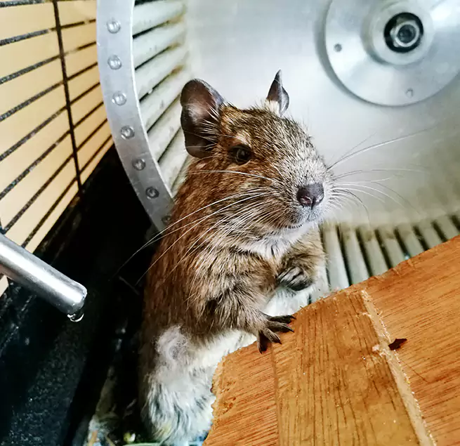 Why Homeowners & Businesses Trust Us River Falls, WI?